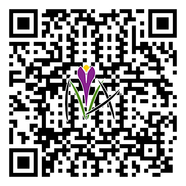 Safran Arta App
